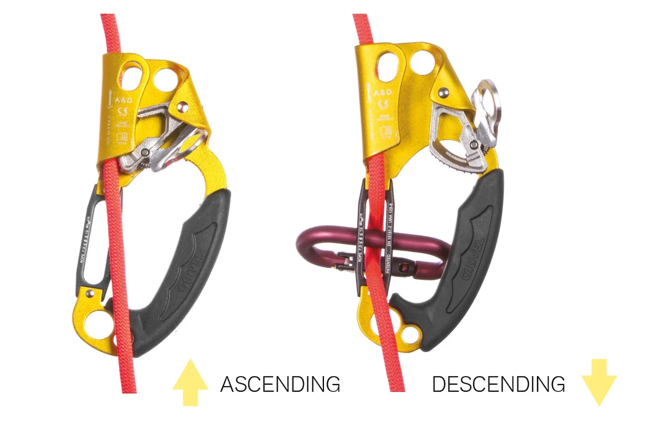 A & D Ascender Descender - Image 2