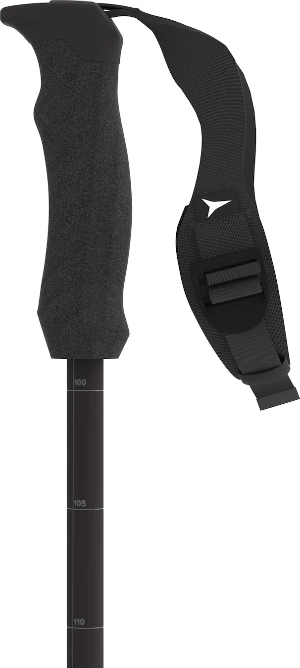 Backland FR SQS Ski Pole - Image 4