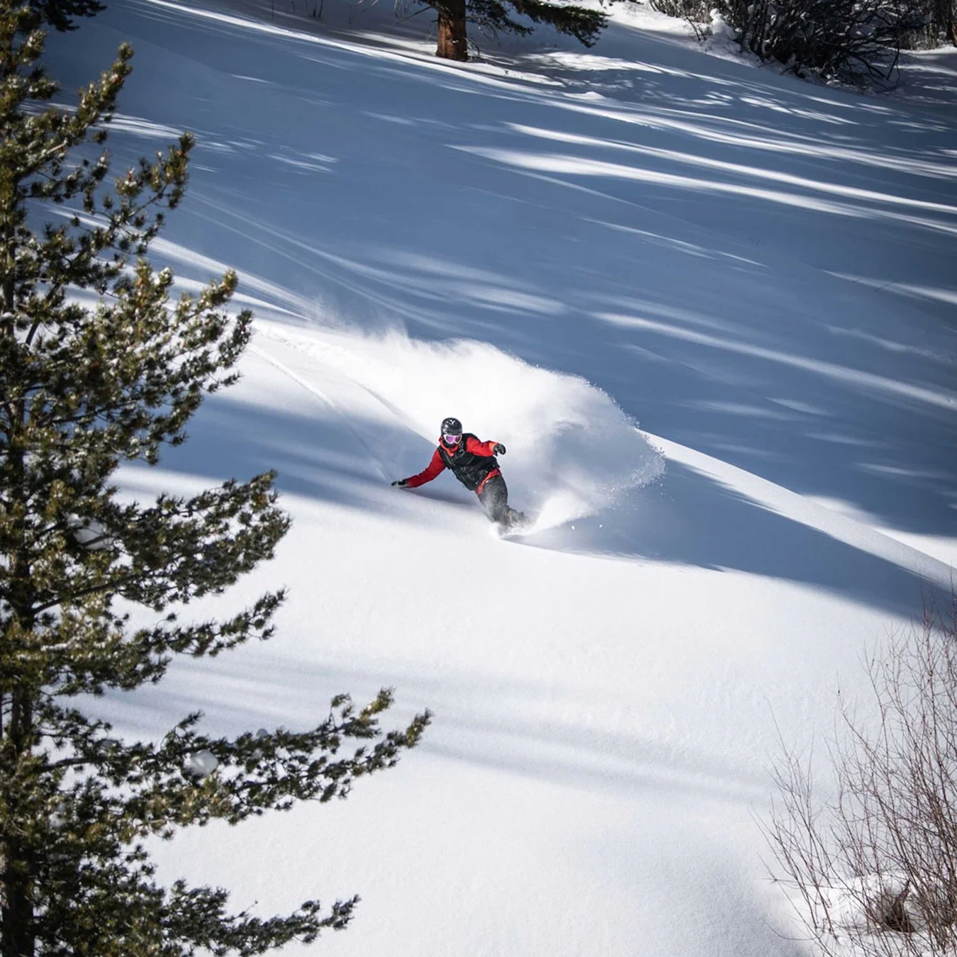 Backwoods Splitboard - Image 5