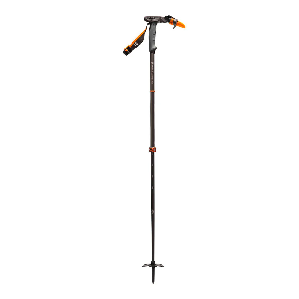 Carbon Whippet Ski Pole - Image 2