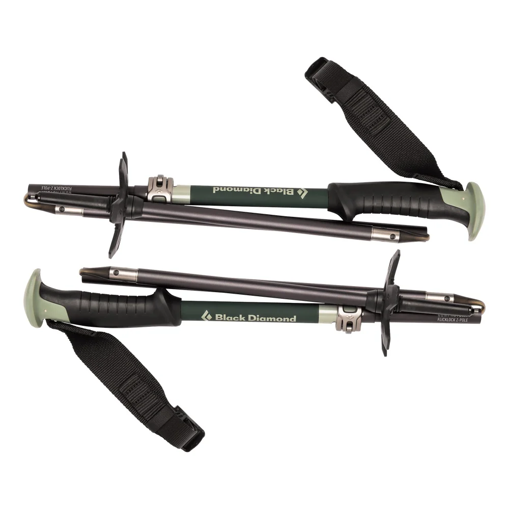 Compactor Ski Poles - Image 3