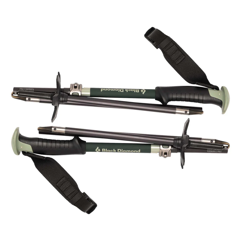 Compactor Ski Poles - Image 3