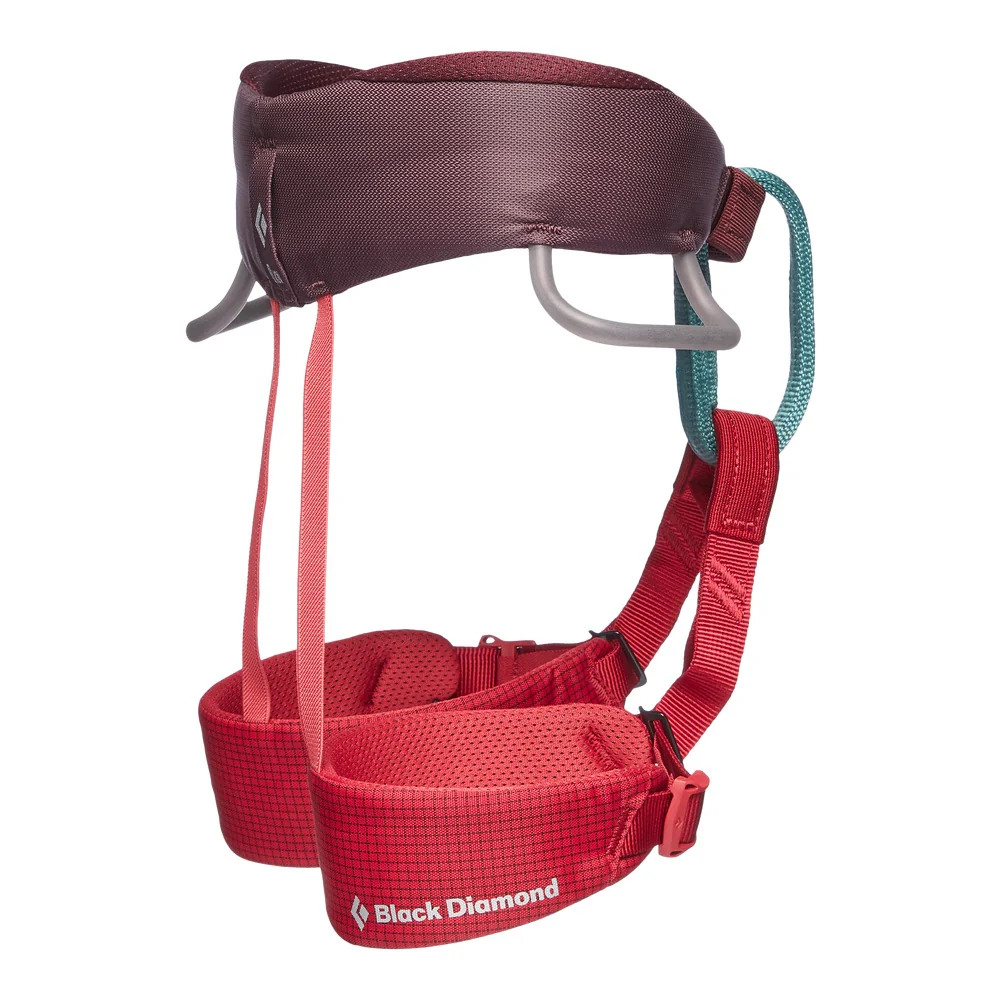Momentum Harness - Kids' - Image 3