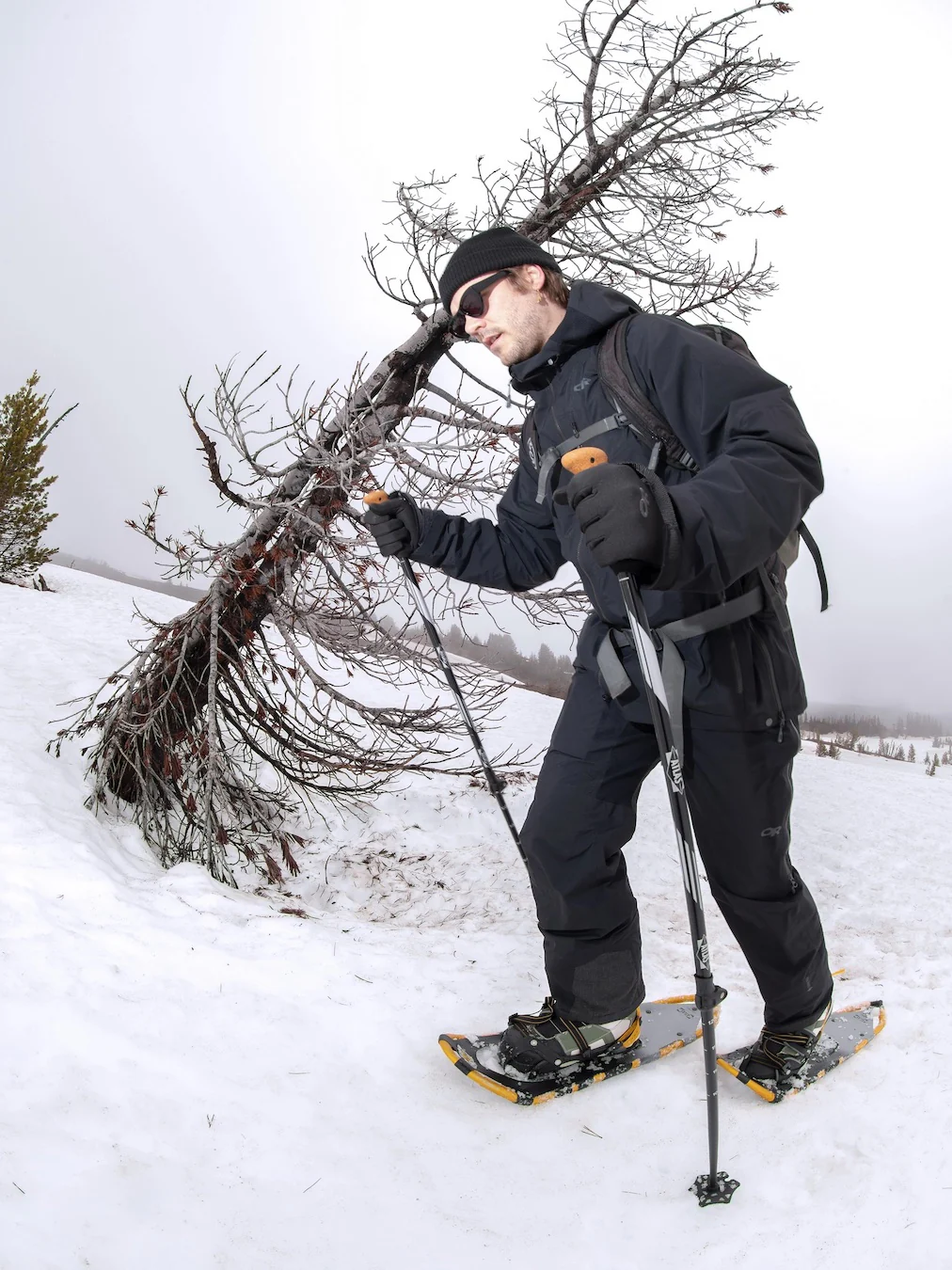Montane Snowshoes - Image 7