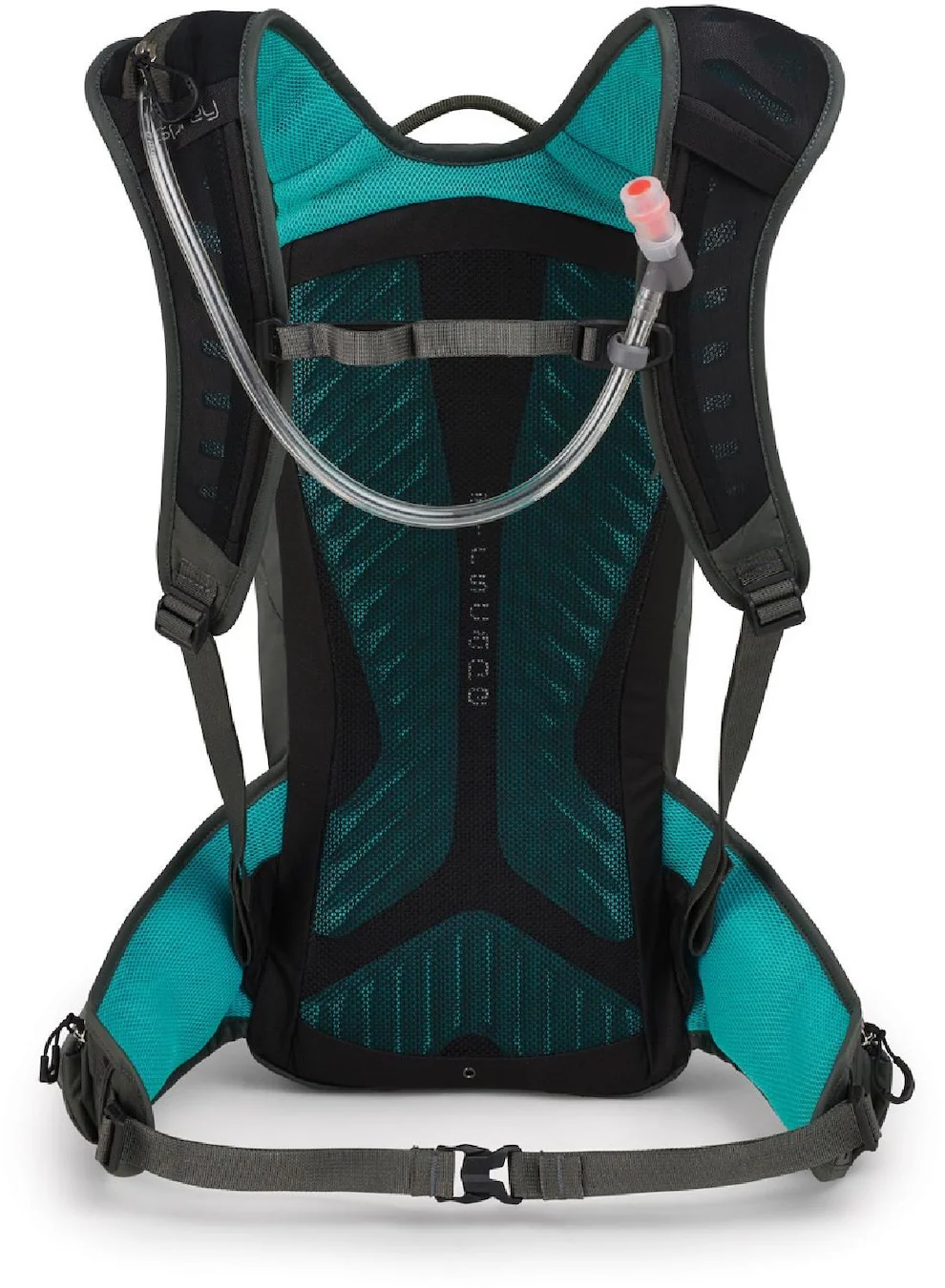 Raptor 10 Pack - Image 7