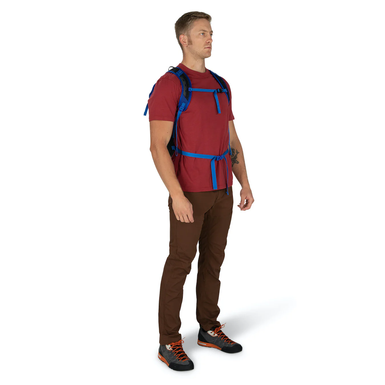 Sportlite 20 Pack - Image 7