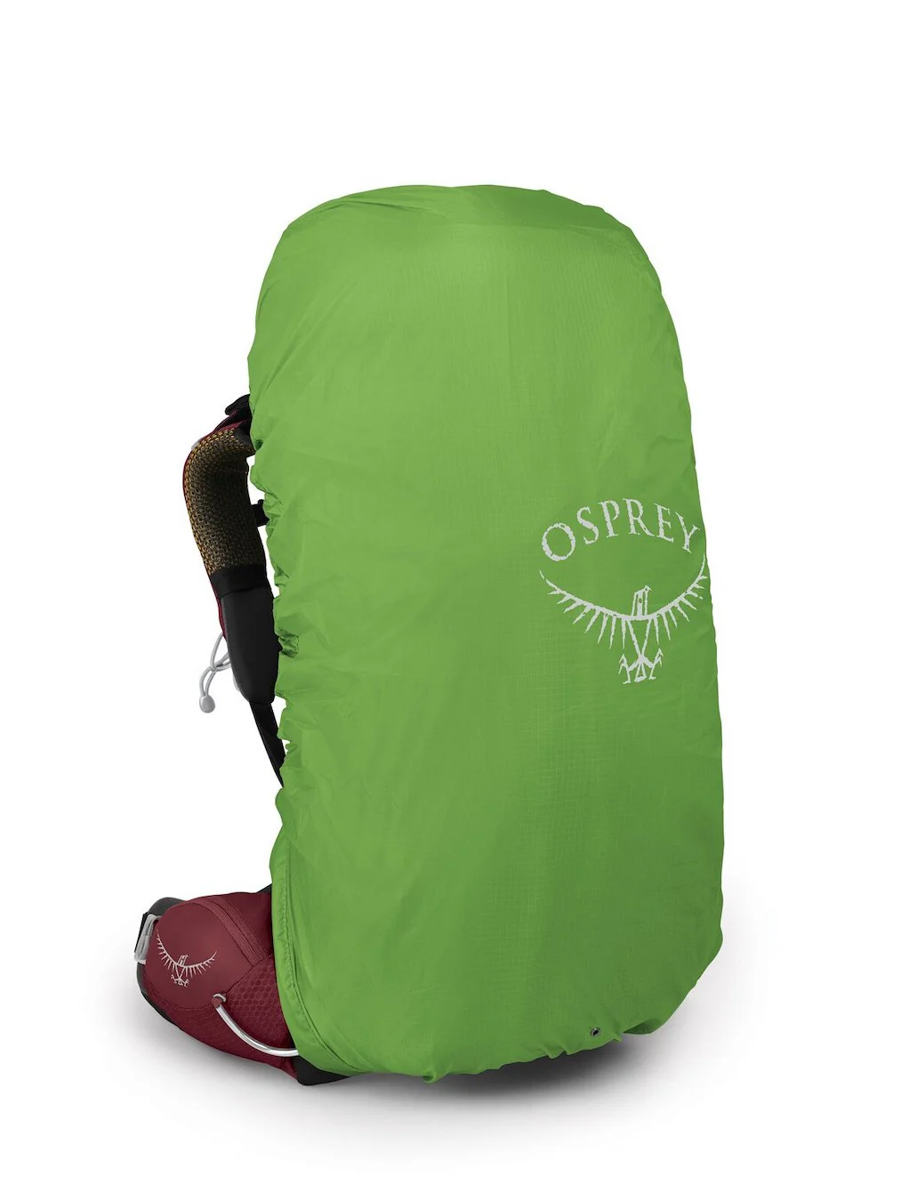 Aura AG 50 Pack - Women's - Image 4