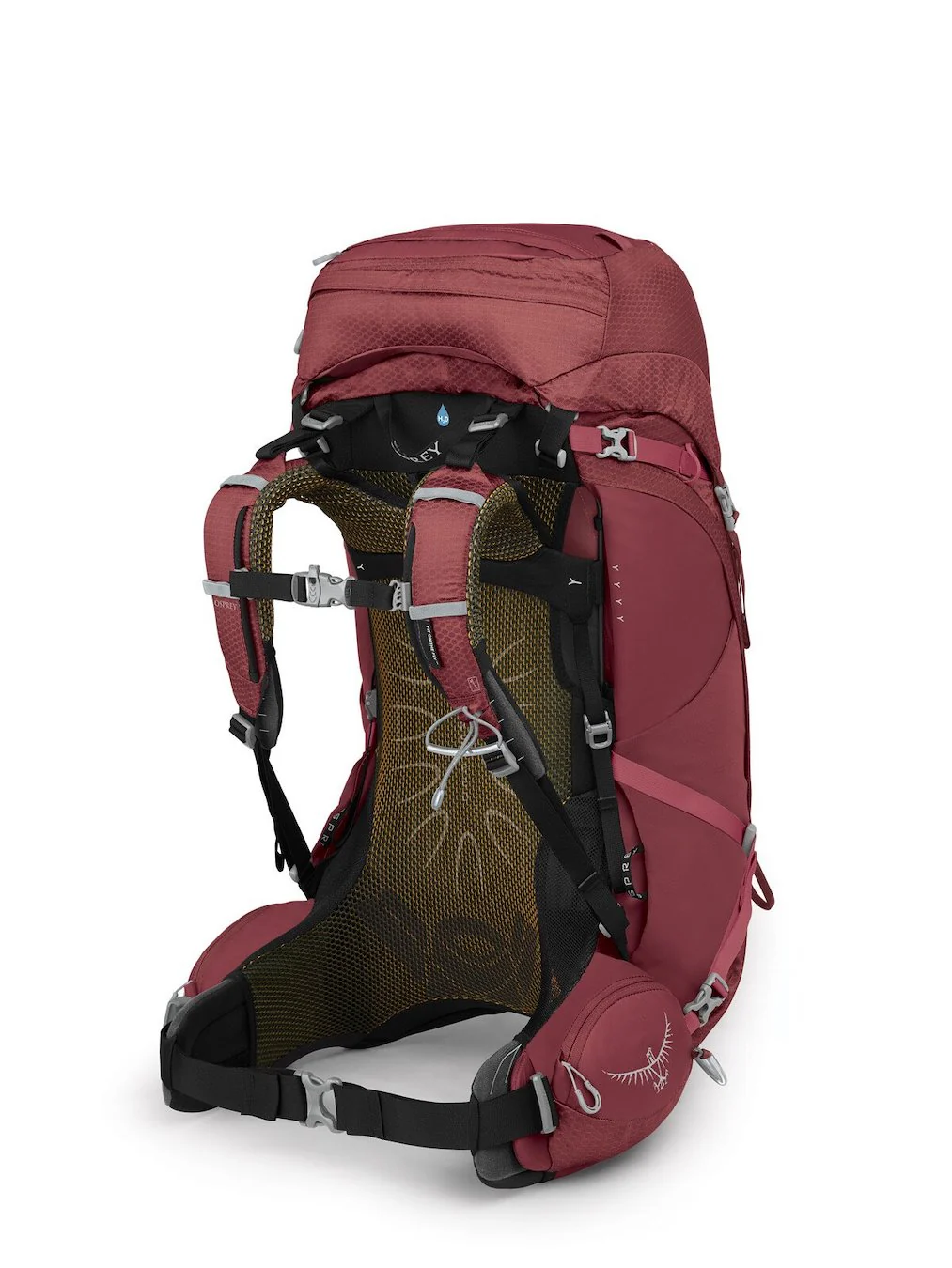 Aura AG 50 Pack - Women's - Image 6