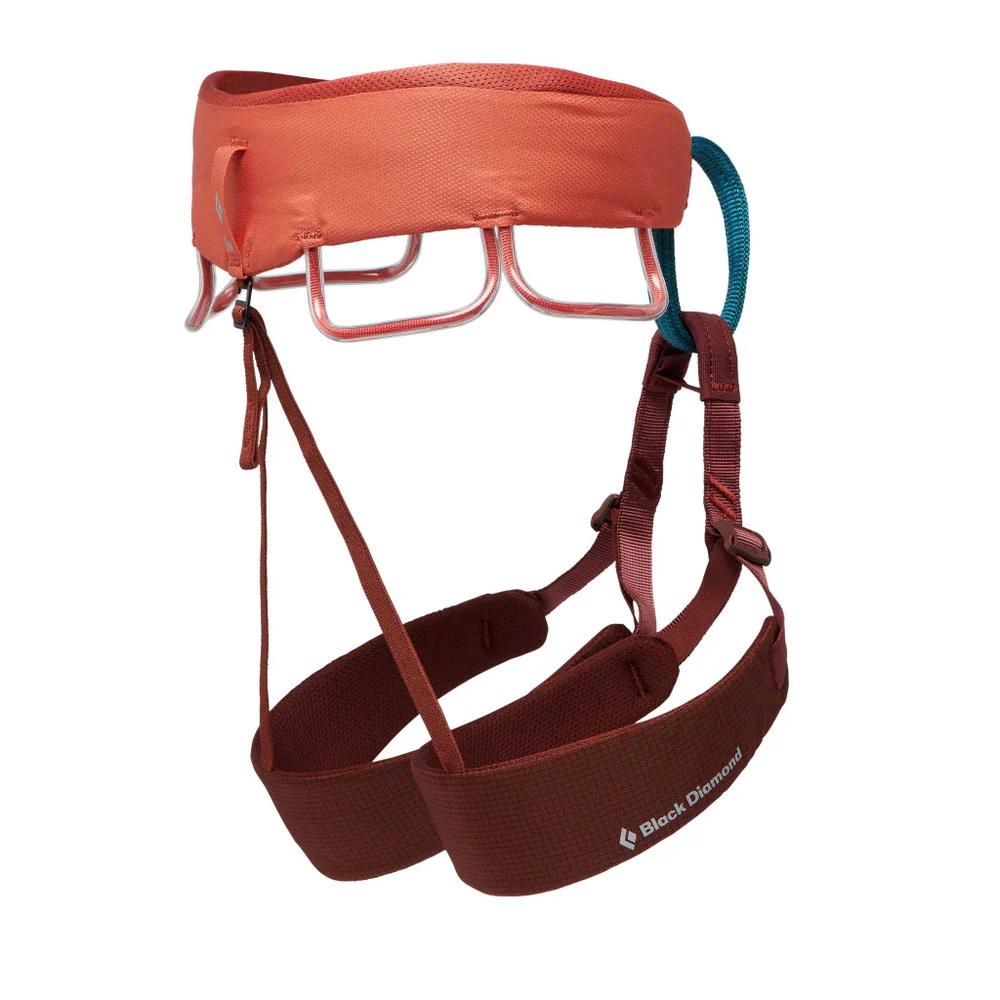 Momentum Harness 2024 - Women's - Image 2