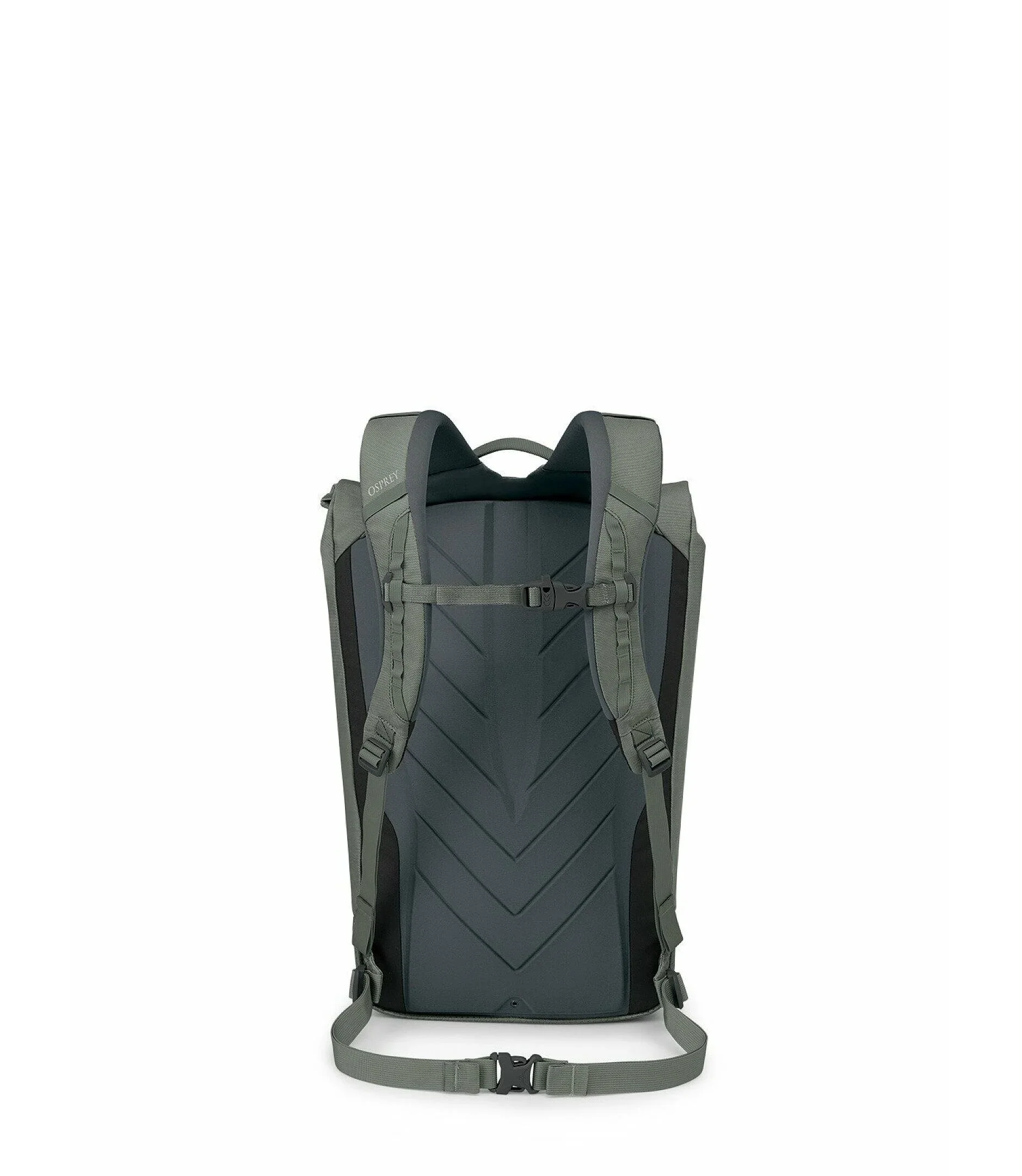 Zealot 30 Pack - Image 3