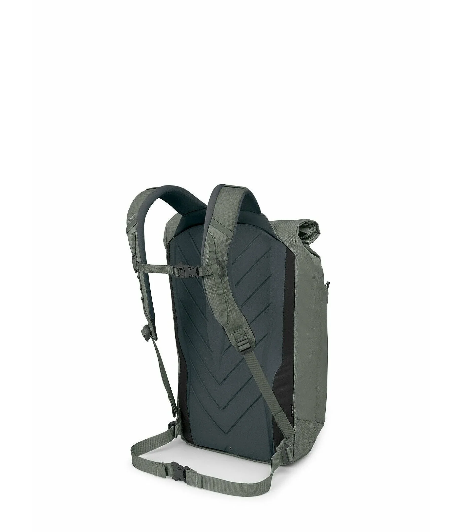 Zealot 30 Pack - Image 4